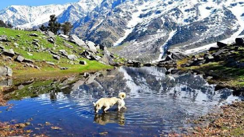 Road Travel Secrets That Make Every Himachal Trip More Enjoyable